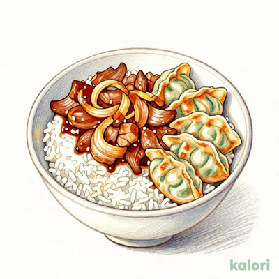 Pork Rice Bowl Set