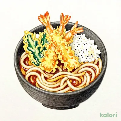 Tempura Miso Stewed Udon Lunch