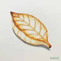 笹かま【1枚】