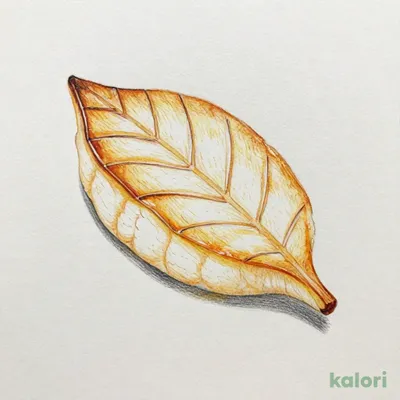 Sasakama (Bamboo Leaf-Shaped Fish Cake), 1 pc