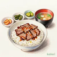 Hida Beef Miso Mabushi Set Meal