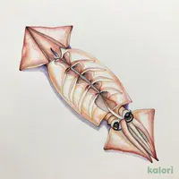 するめいか刺身