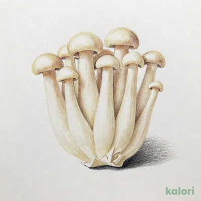 えのき