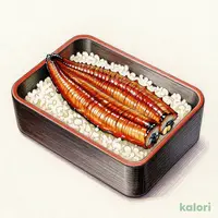 Kagoshima Eel Rice Box (Premium)