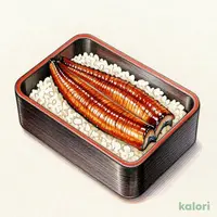 Kagoshima Eel Rice Box (Regular)