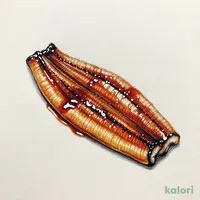 うなぎ蒲焼き（お持ち帰り）