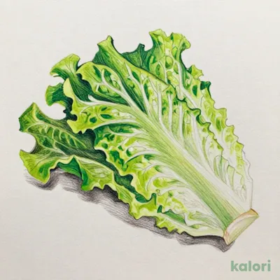 カットレタス