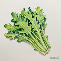 水菜