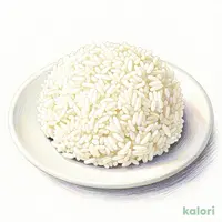 ライス（普通盛り）