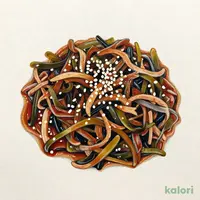 【要冷蔵】成城石井 さば節昆布 100g
