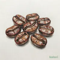 成城石井 エチオピアモカ 180g 【豆】