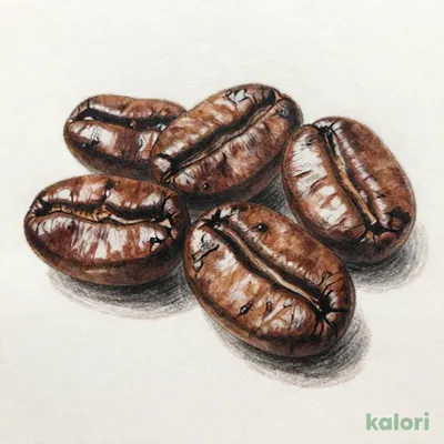 成城石井 カフェイタリアーノ【豆】 180g