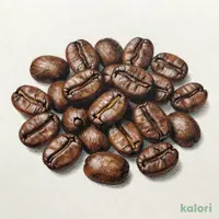 成城石井 キリマンジャロAAブレンド 450g 【豆】