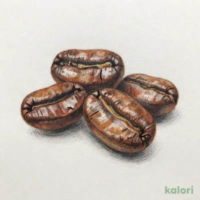 成城石井 マイルドブレンド 450g 【豆】