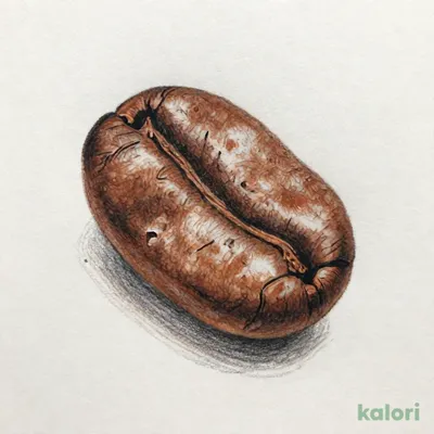 成城石井メキシコ産有機カフェインレスコーヒー（粉）200g