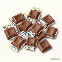 成城石井 ナポリタンチョコレート(サンタ)90g