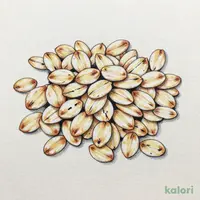 かんたん手軽な オートミール 340g