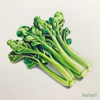 国産 野沢菜漬 170g