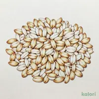 Beigetsumugi (Rice-Shaped Barley) for Rice Cooking, 12 Packs