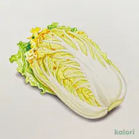 爽やかに香る ゆず白菜 200g