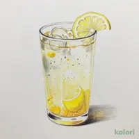 国産ゆず果汁が爽やか ゆずレモンサイダー 500ml