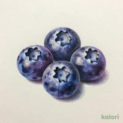 Frozen Blueberries