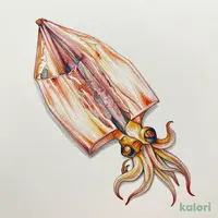 Shredded Dried Squid, 16g