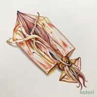 ７プレミアム　さきいか　４０ｇ