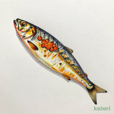 ７プレミアム　焼からふとししゃも