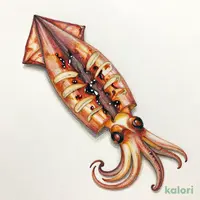 いかの沖漬け風一夜干し