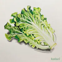 ミックスレタス