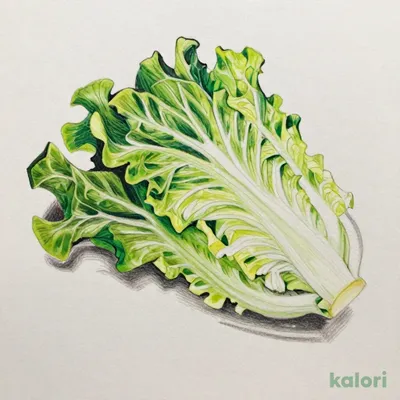ミックスレタス