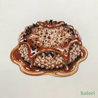 自家製ハンバーグランチ