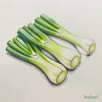 Grilled Green Onion