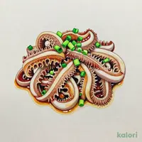 Sashimi-Style Beef Tripe