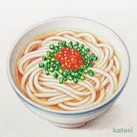 ネギたっぷり明太うどん