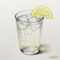 プレーンサワー