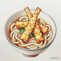 ごぼ天うどん