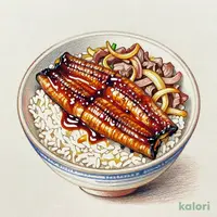 Special Grilled Eel and Beef Rice Bowl, Large
