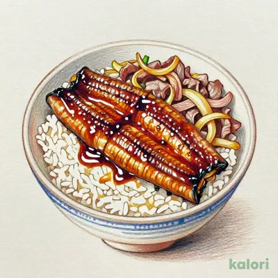 Special Grilled Eel and Beef Rice Bowl, Large