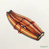ふっくらと焼き上げたうなぎ長焼