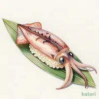 アオリイカ(1貫)