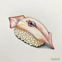 ヤリイカ(1貫)