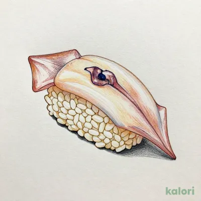 ヤリイカ（1貫）
