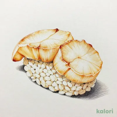 Domestic Scallop