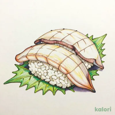 Cuttlefish