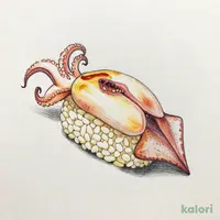 いかげそ