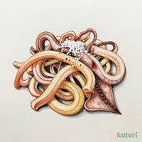 いかの塩辛