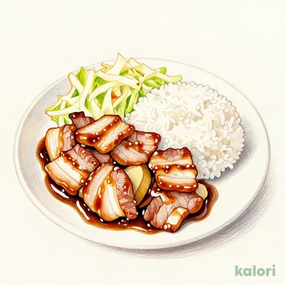 Ginger Pork Set Meal