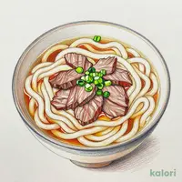 《ねぎたっぷり》肉うどん